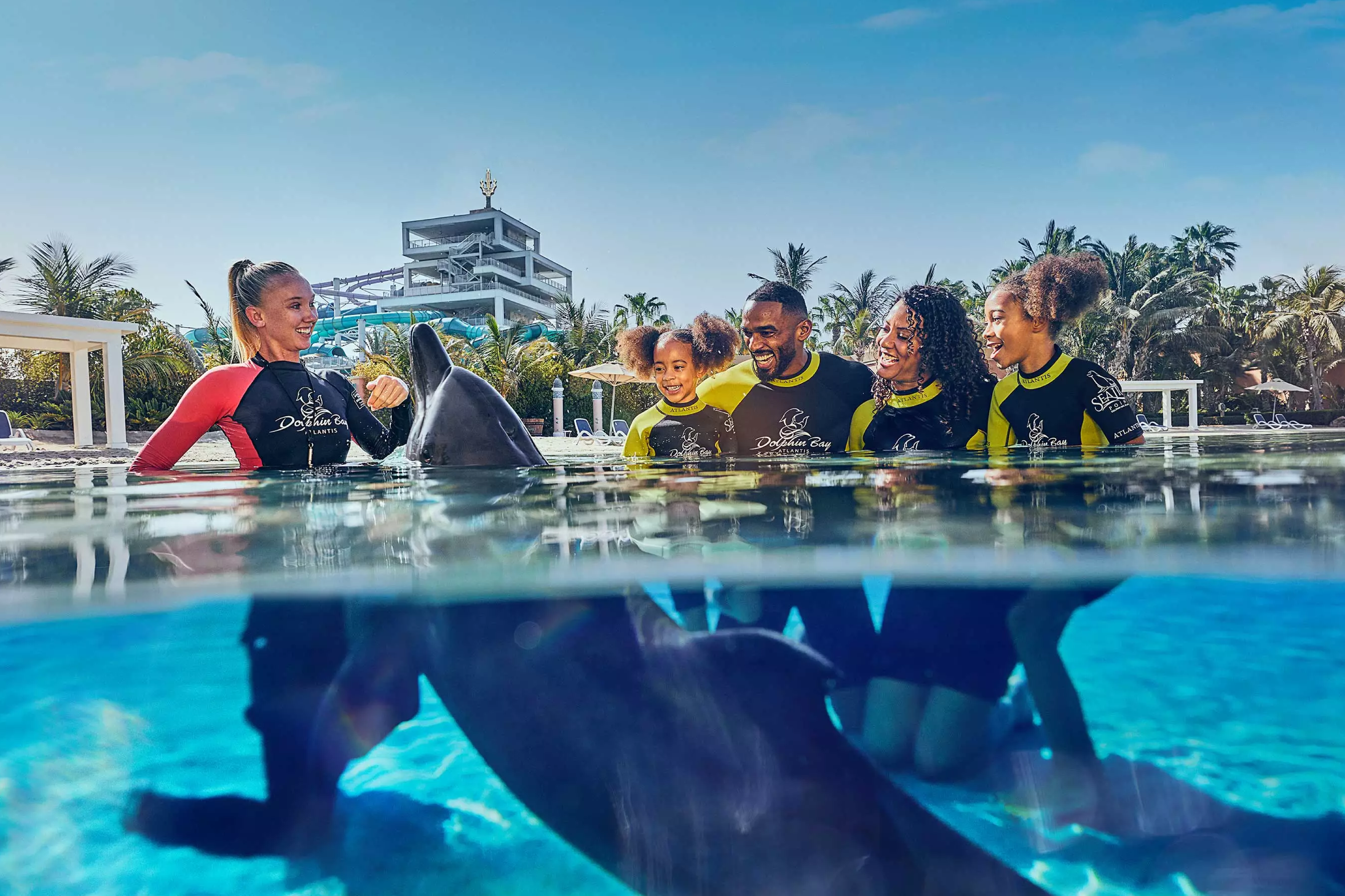 Dolphin Encounter at Atlantis Aquaventure Tickets