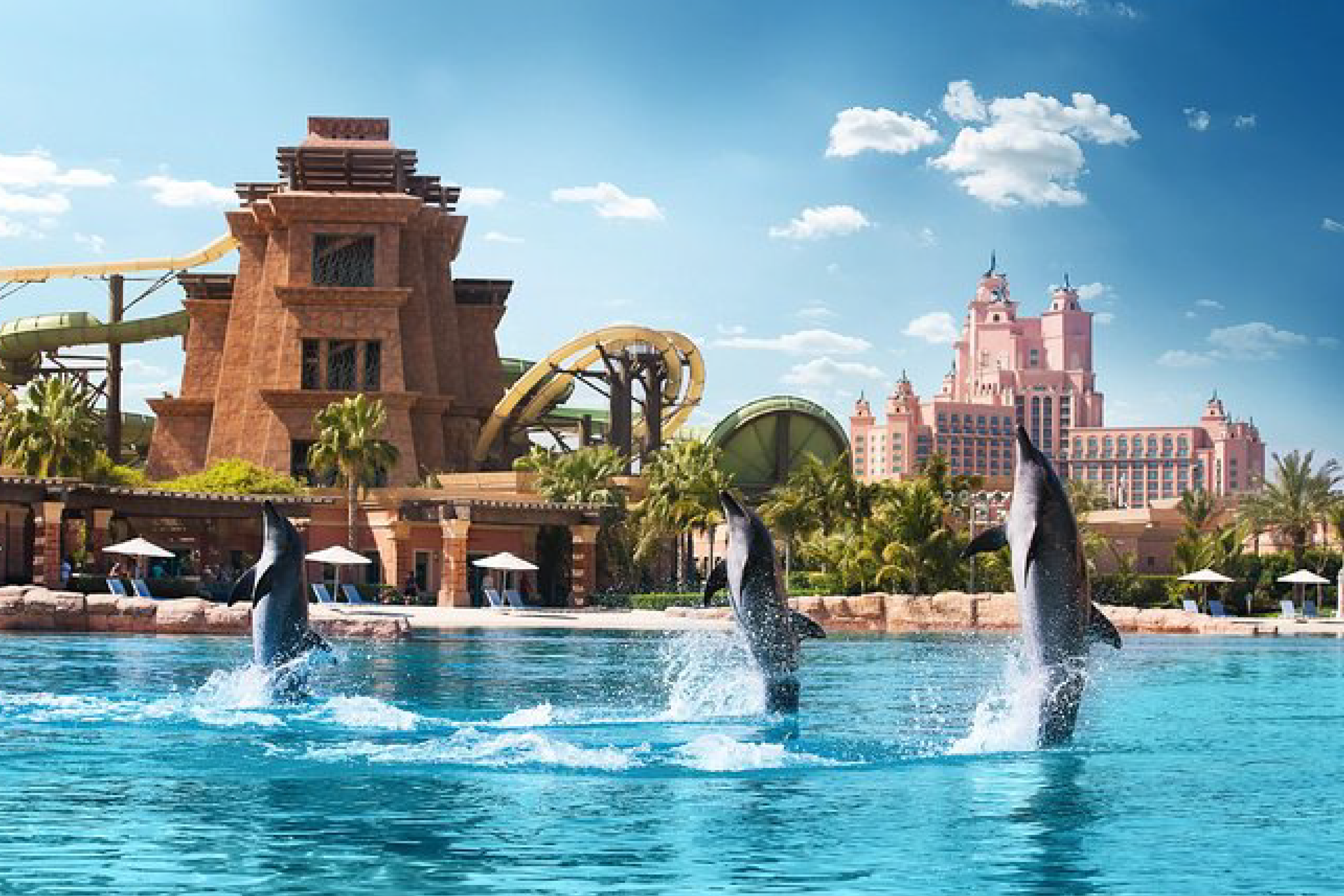 Dolphin Swimming at Atlantis Aquaventure Tickets