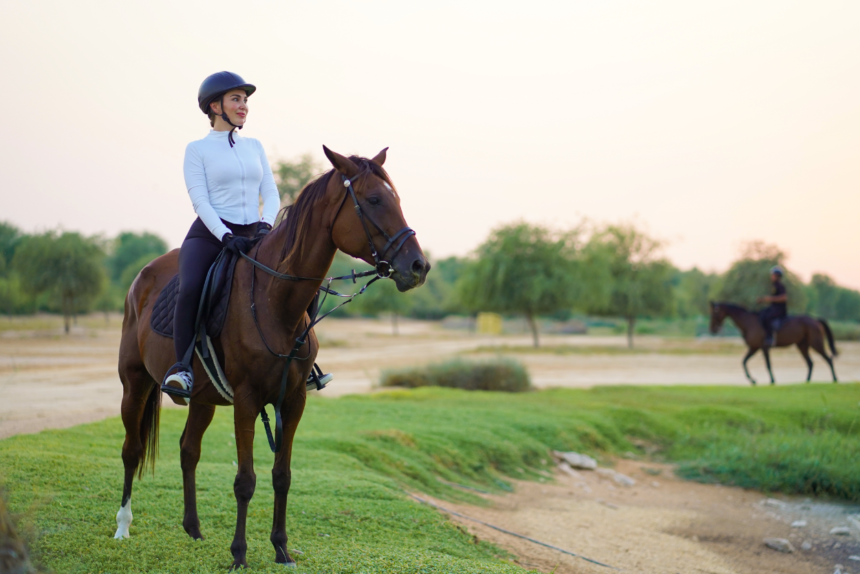 Desert Horse Riding Experience in Dubai