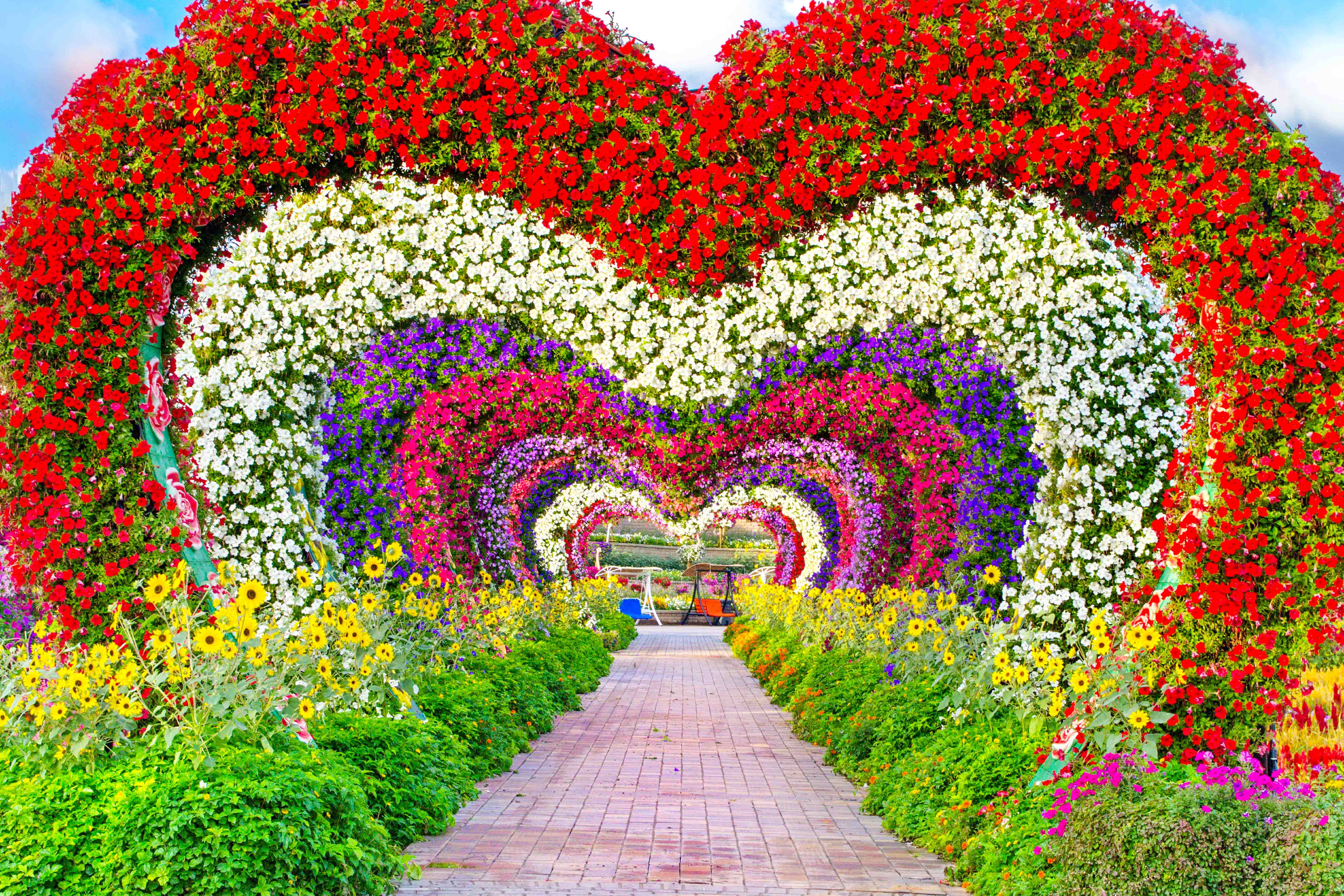 Dubai Miracle Garden Entry Ticket