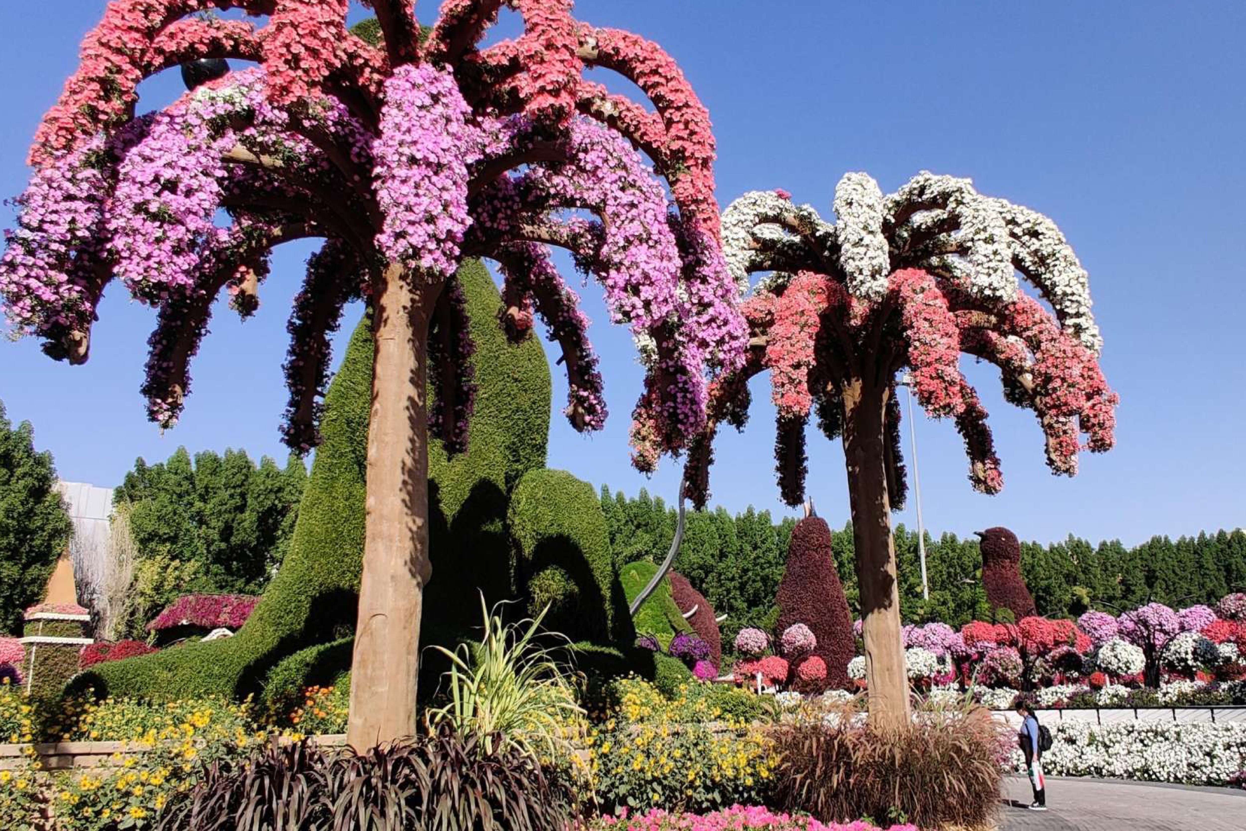 Dubai Miracle Garden Entry Ticket