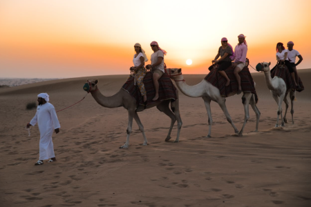 Platinum Desert Safari with Fine Dining and Falcon Show