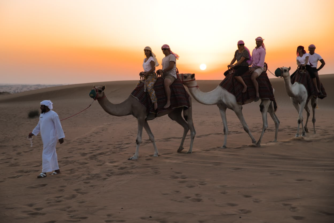 Platinum Desert Safari with Fine Dining and Falcon Show