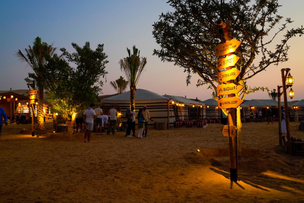 Premium Desert Safari with BBQ Dinner & Falcon Show