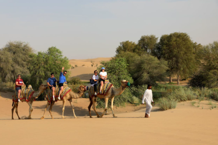 Royal Heritage Desert Safari with Al Marmoom Bedouin Experience