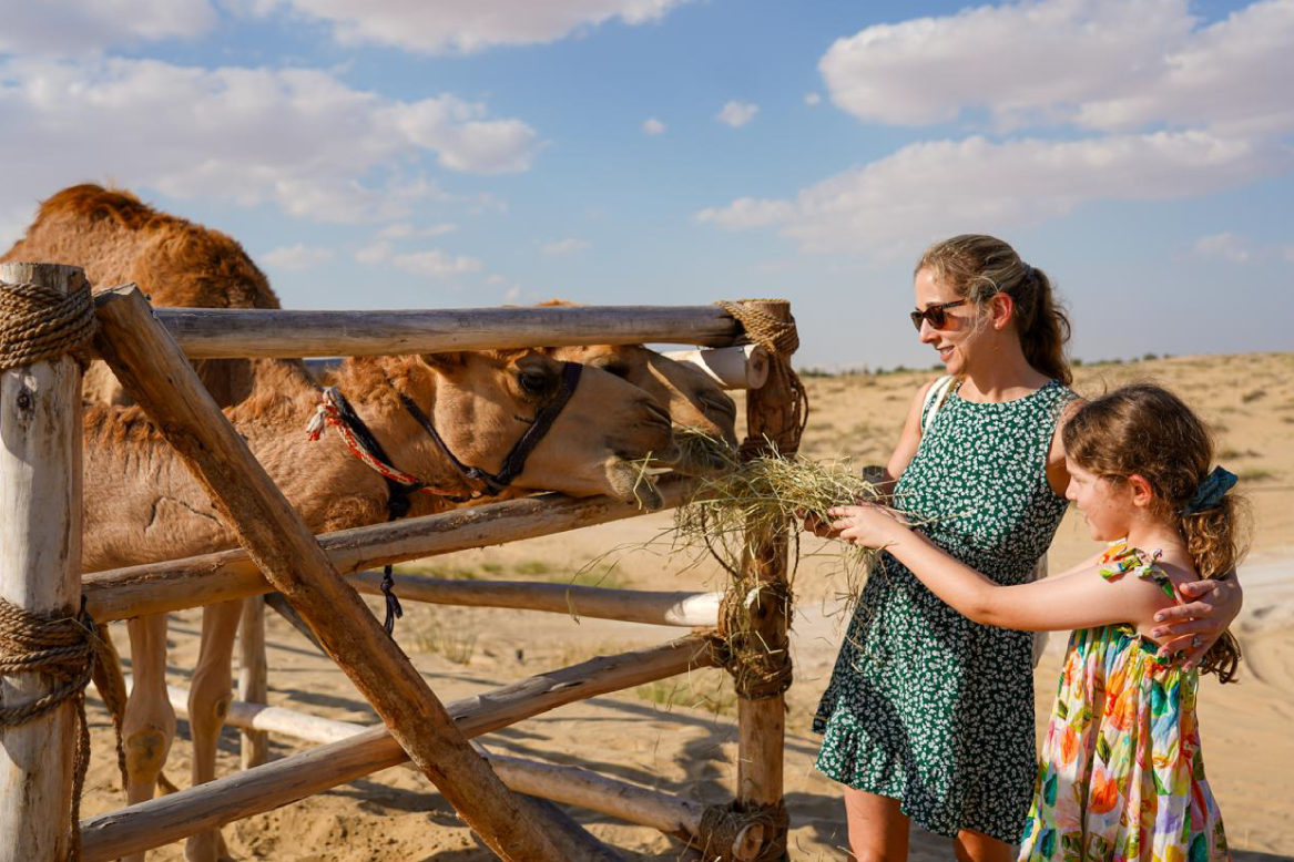 Royal Premium Desert Safari with BBQ Dinner & Falcon Show