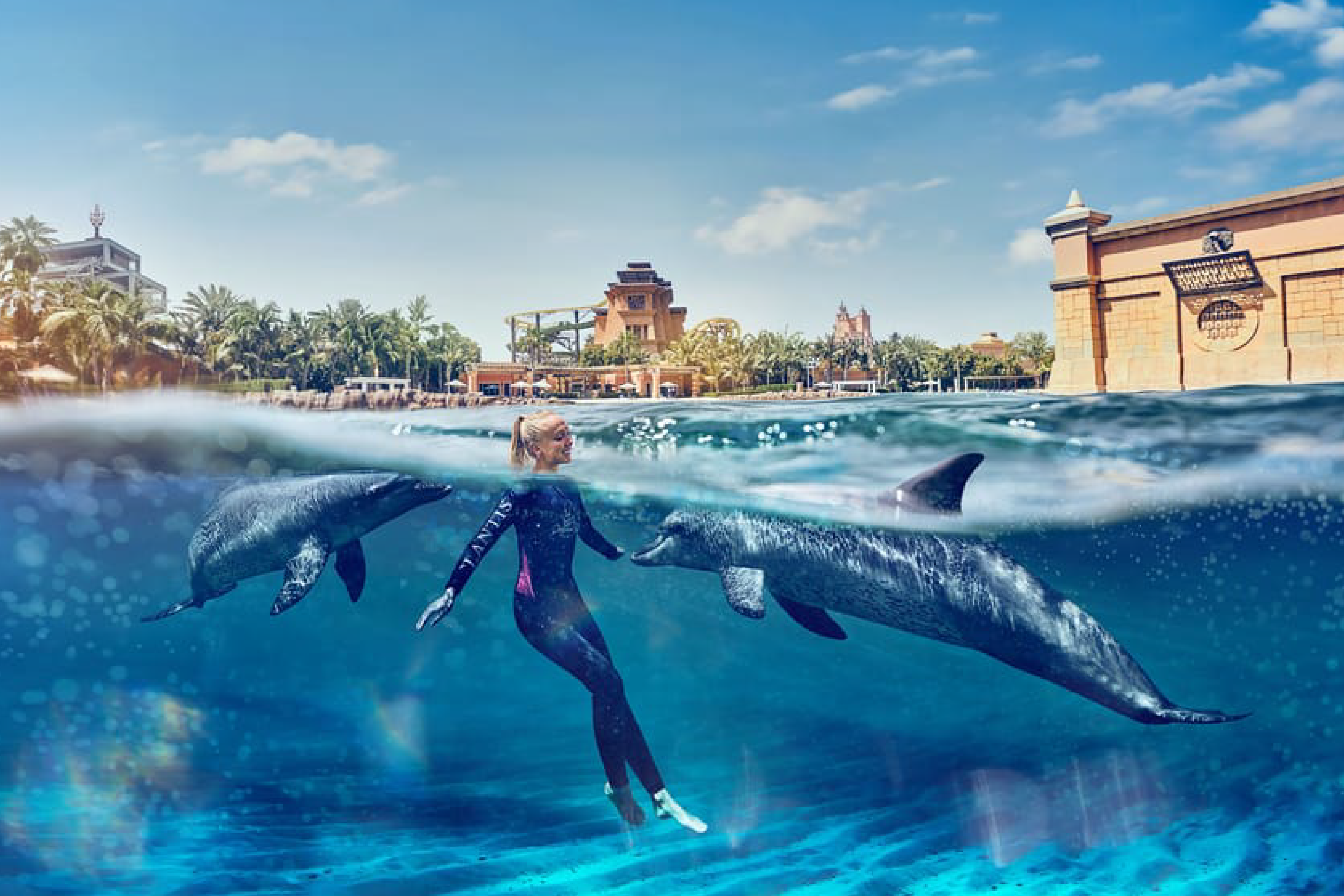 Dolphin Swimming at Atlantis Aquaventure Tickets