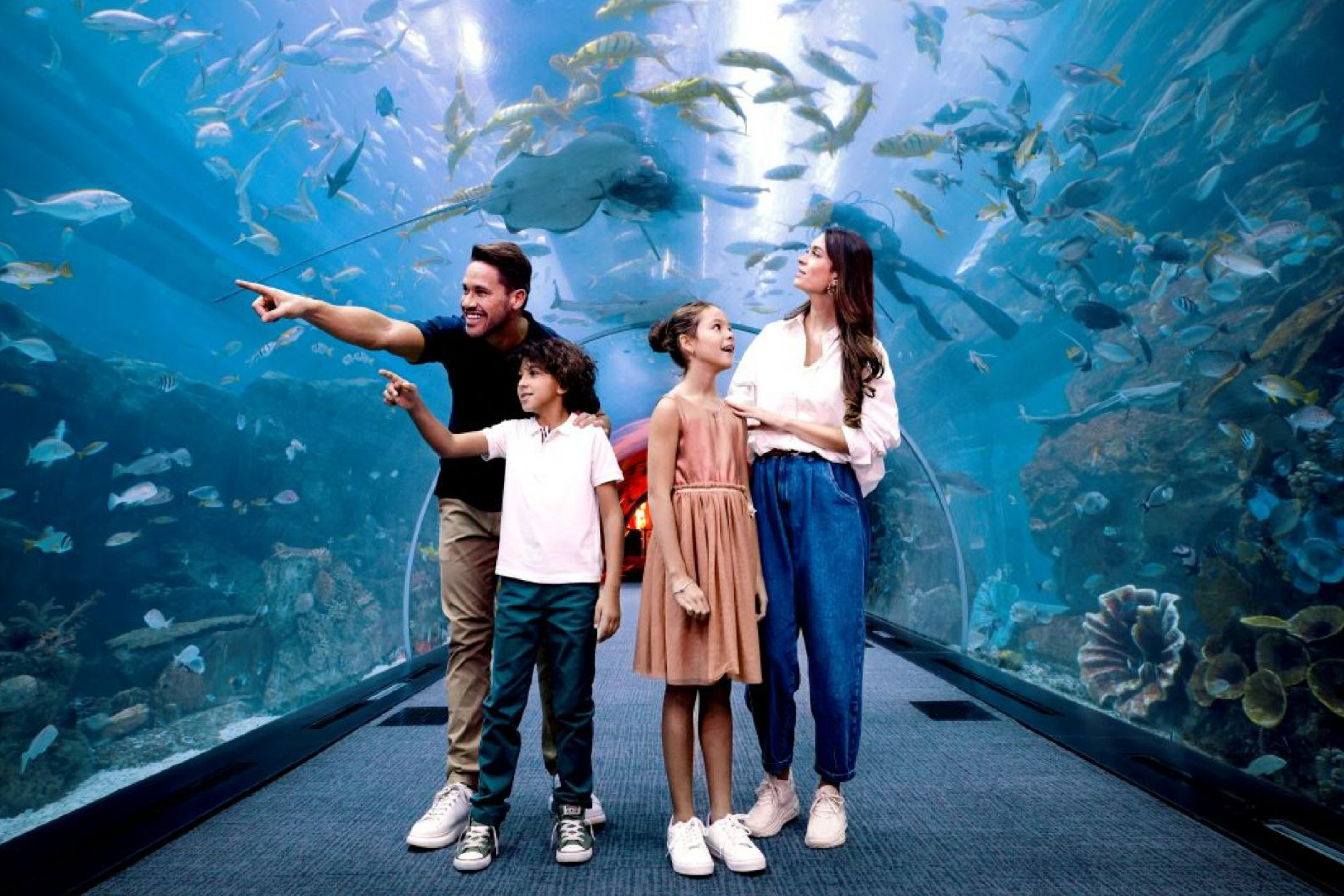 Dubai Aquarium and Underwater Zoo Tickets