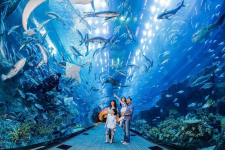 Dubai Aquarium and Underwater Zoo Tickets